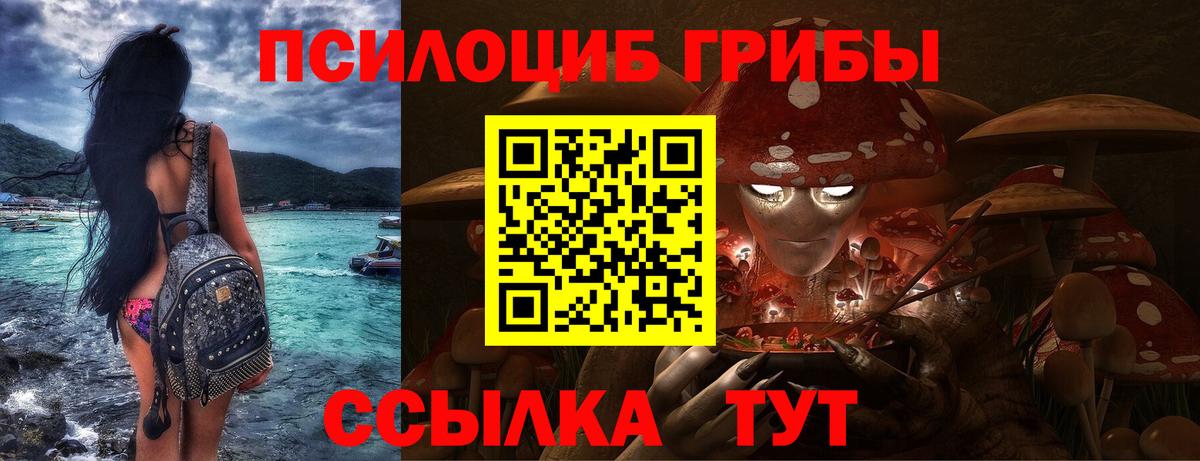 Галлюциногенные грибы Magic Shrooms  Вход с VPN  Великий Устюг  цена   Псилоцибиновые грибы мухоморы 